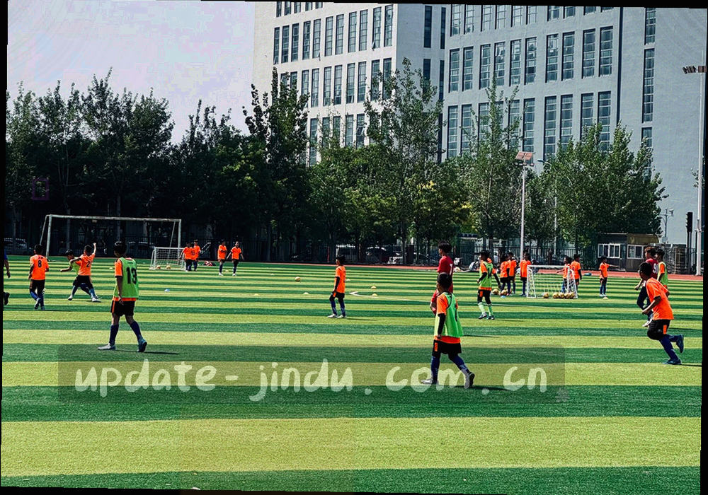 抽象插画：层叠的文件轮廓、刻度线与盾形图形组合，代表条款、使用边界与备案信息